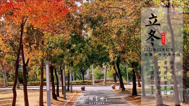 立冬｜秋风吹尽旧庭柯， 黄叶丹枫客里过