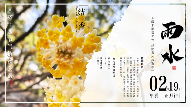 2雨水2