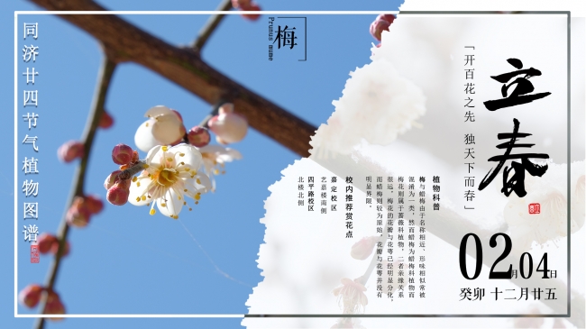 封面主页