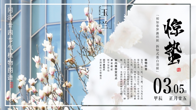 封面 封面