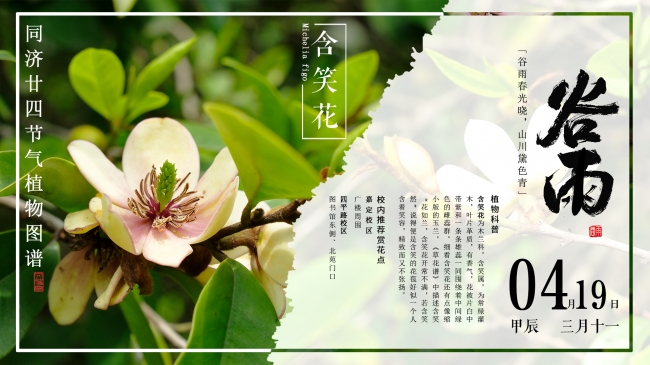 6谷雨2 6谷雨2