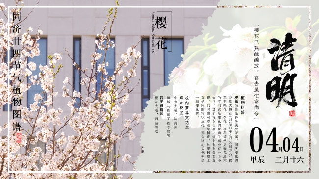 5清明2 5清明2