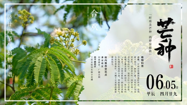 主页封面 主页封面