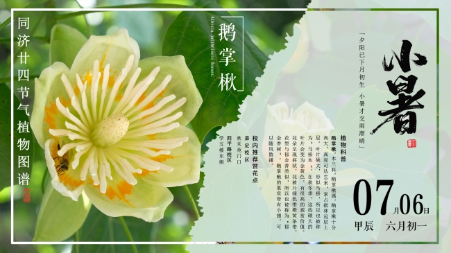 主页封面 主页封面