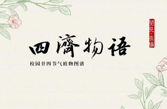 阅见·在场 | 当叶片舒展时，故事开始生长（一）