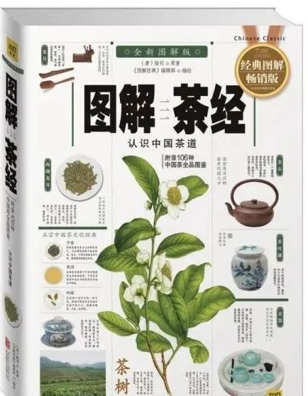 图片13