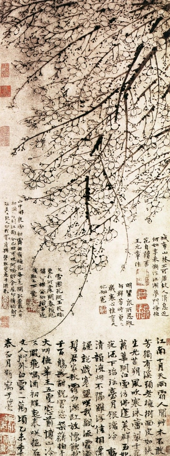 闻学展堂丨画说君子系列三:《墨梅图》
