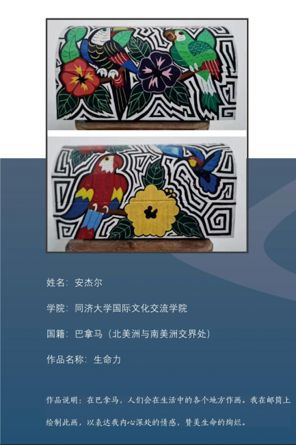 图片4