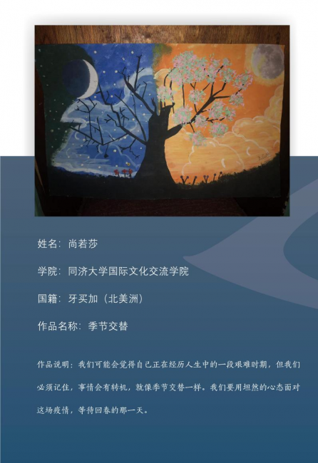 图片9