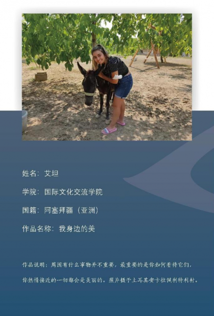 图片8