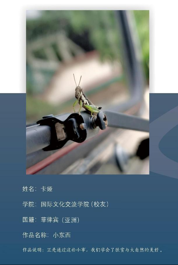 图片9