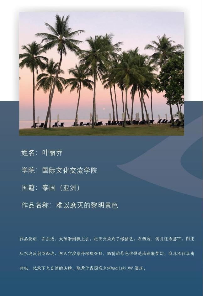 图片7