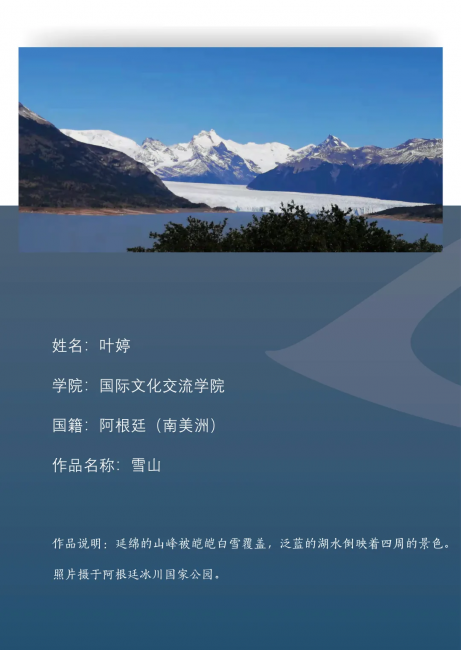 图片15